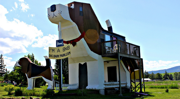 Casa Perro Idaho