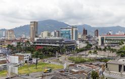 Pereira