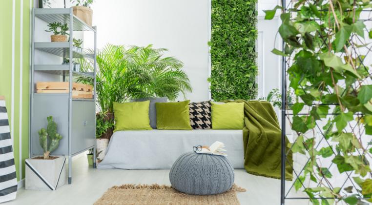 Cinco plantas para interiores: decorativas y energéticas