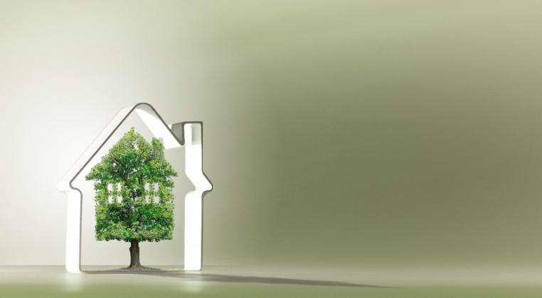 5 Recomendaciones para convertir tu vivienda nueva en un hogar verde
