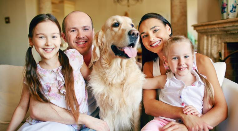 Vivienda Petfriendly: Adapta los espacios de tu vivienda para tu mascota