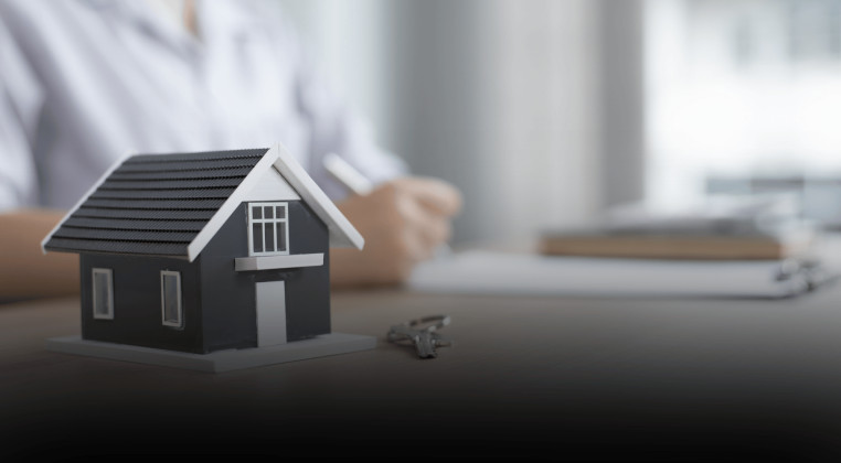 Capítulo 5: Comportamiento de los independientes en el mercado de la vivienda nueva