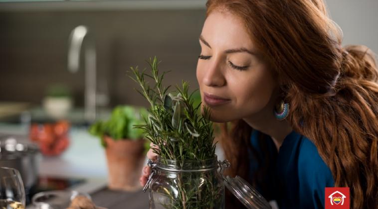 Escoge un aroma para tu casa que tenga el mejor efecto
