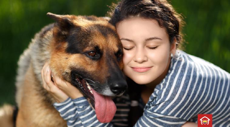 ¡Vivienda nueva para tu mascota!