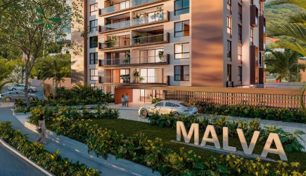 Malva-Tipo 1