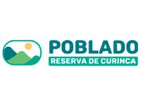 Tipo 1, Apartamentos en - Vivendo.co