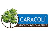 Tipo 1, Apartamentos en - Vivendo.co
