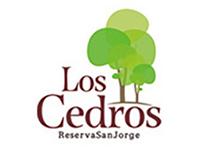 Tipo 1, Apartamentos en - Vivendo.co