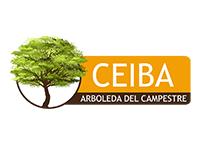 Tipo 2, Apartamentos en - Vivendo.co