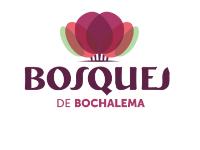 Tipo 1, Apartamentos en Sur - Vivendo.co