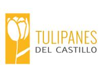 Tipo 1, Casas en - Vivendo.co