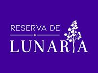 Tipo 1, Apartamentos en - Vivendo.co