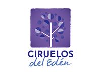 Tipo 1, Apartamentos en - Vivendo.co