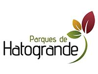 Tipo 1, Apartamentos en - Vivendo.co