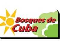 Tipo 1, Apartamentos en - Vivendo.co