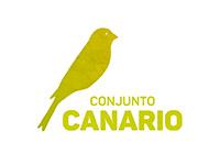 Tipo 1, Apartamentos en Centro - Vivendo.co