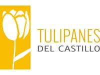 Tipo 1, Casas en - Vivendo.co