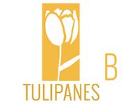 Tipo 1, Casas en - Vivendo.co