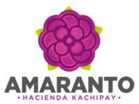 Tipo 1, Apartamentos en Sur - Vivendo.co