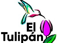 Tipo 1, Apartamentos en  - Vivendo.co