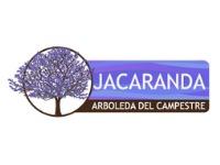 Tipo 2, Apartamentos en - Vivendo.co