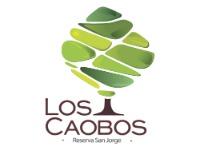 Tipo 1, Apartamentos en Oriente - Vivendo.co