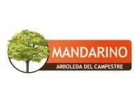 Tipo 1, Apartamentos en - Vivendo.co