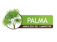 Tipo 2, Apartamentos en - Vivendo.co