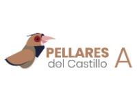 Tipo 1, Casas en Sur - Vivendo.co