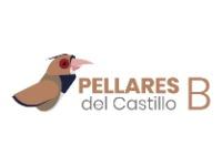 Tipo 1, Casas en Sur - Vivendo.co